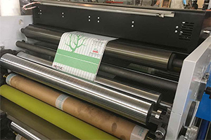 What is the Principle of Flexo Printing?